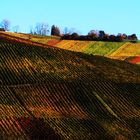 Weinberge im Remstal