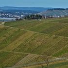 Weinberge im Remstal