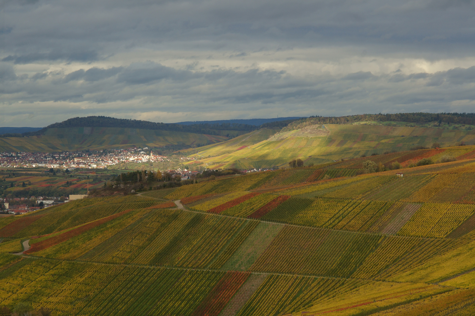 WEINBERGE IM REMSTAL NÄHE STRÜMPFELBACH