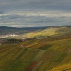 WEINBERGE IM REMSTAL NÄHE STRÜMPFELBACH