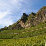 Weinberge im Röntal