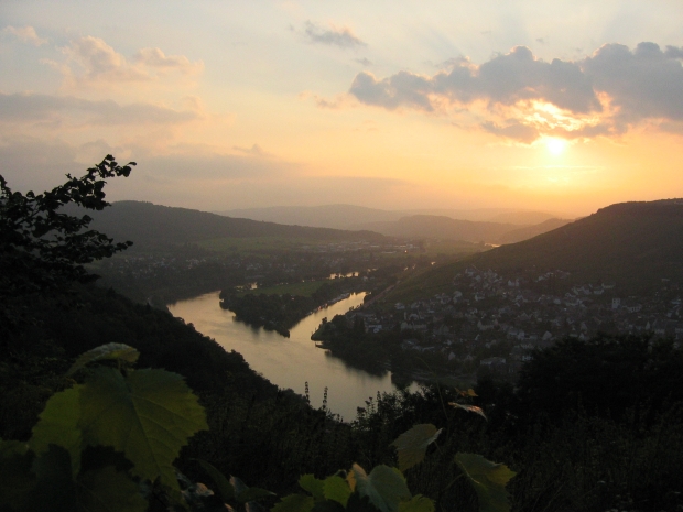 Weinberge im Sonnenuntergang