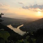 Weinberge im Sonnenuntergang