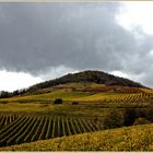 Weinberge in Auerbach