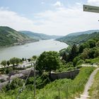 Weinberge in Bacharach