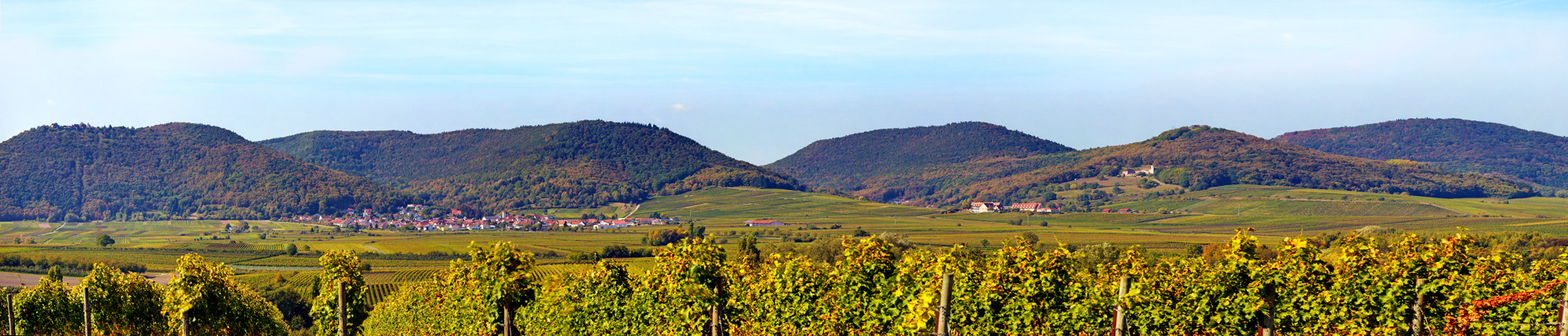 Weinberge in der Pfalz