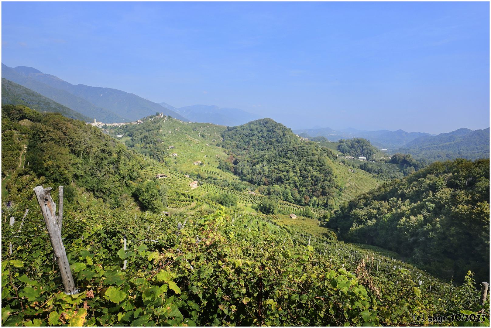 Weinberge in der Prosecco-Gegend