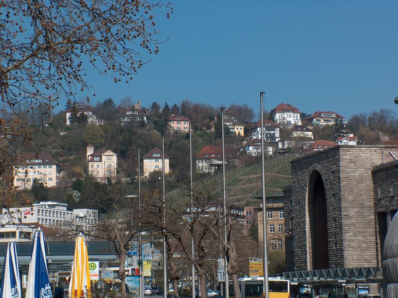 Weinberge in der Stadt