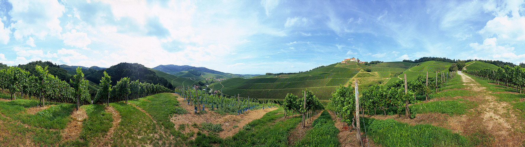 Weinberge in Durbach