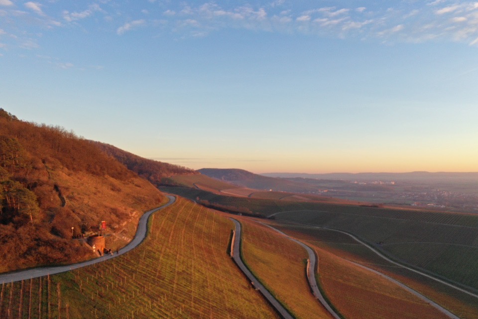 Weinberge in Franken