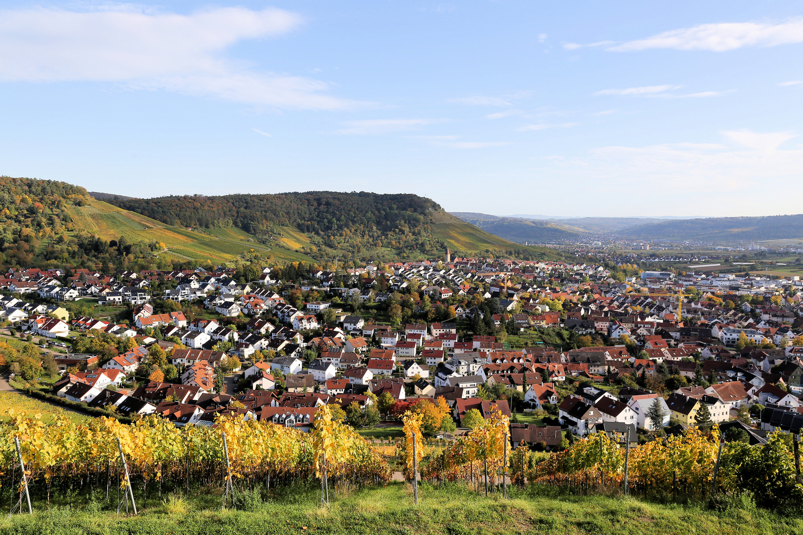 Weinberge in Korb