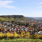 Weinberge in Korb