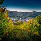 Weinberge in Münchweier 