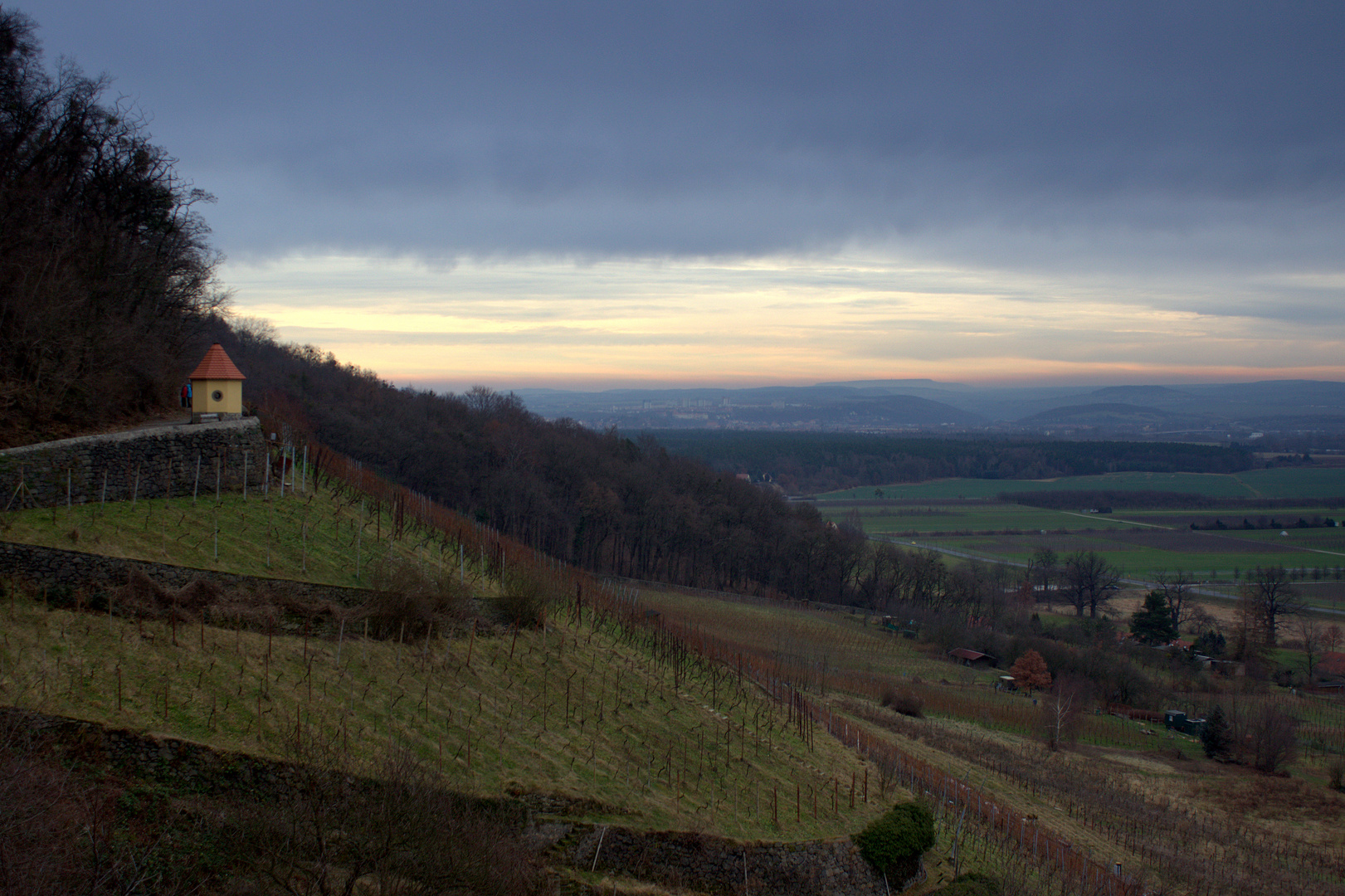 Weinberge in Pillnitz