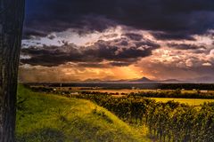 Weinberge in Südbaden 