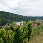 Weinberge in Triefenstein, Unterfranken