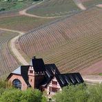 Weinberge in Trier