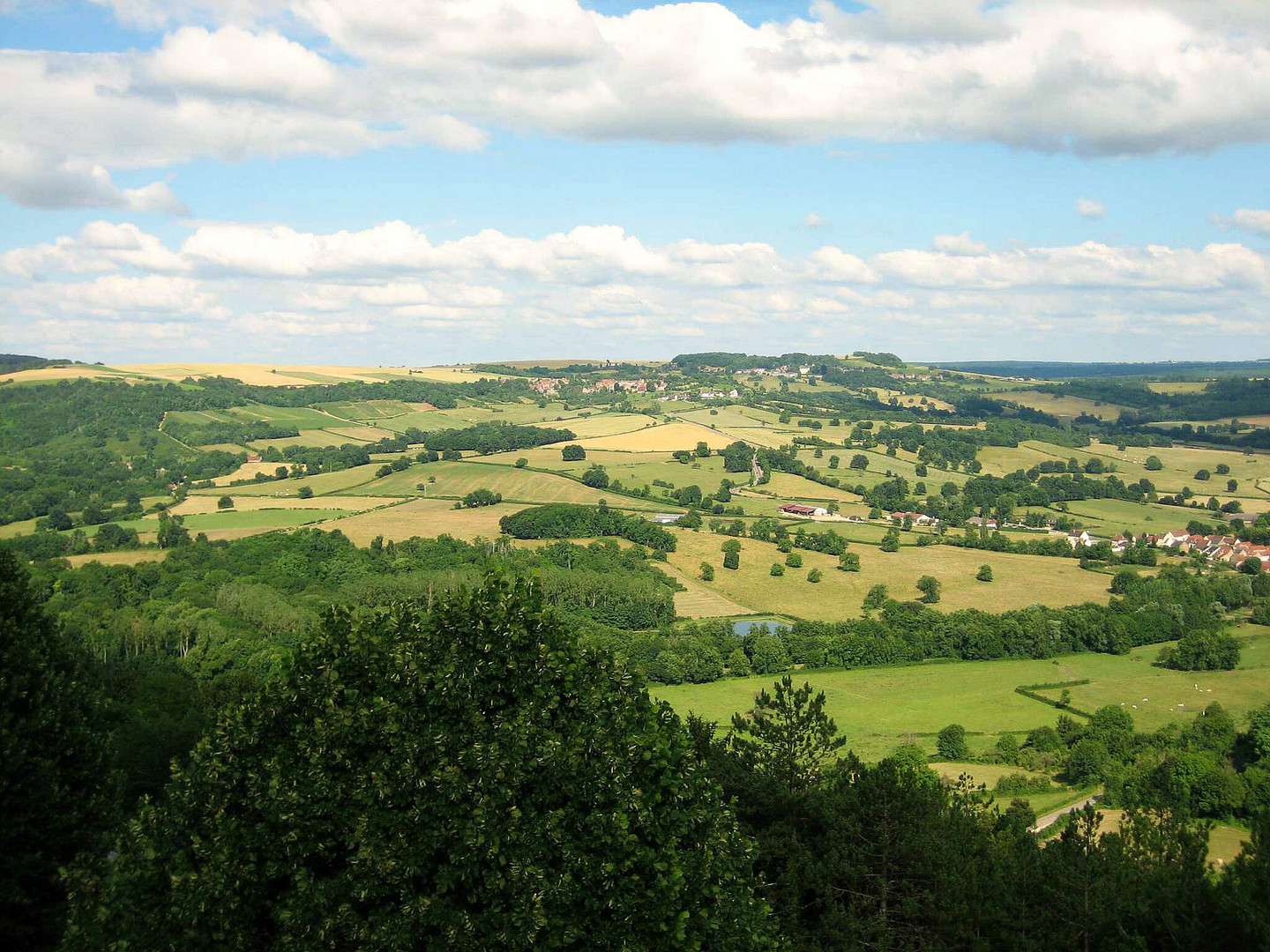 Weinberge in Vézelay im Burgund in Frankreich