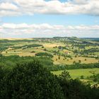 Weinberge in Vézelay im Burgund in Frankreich