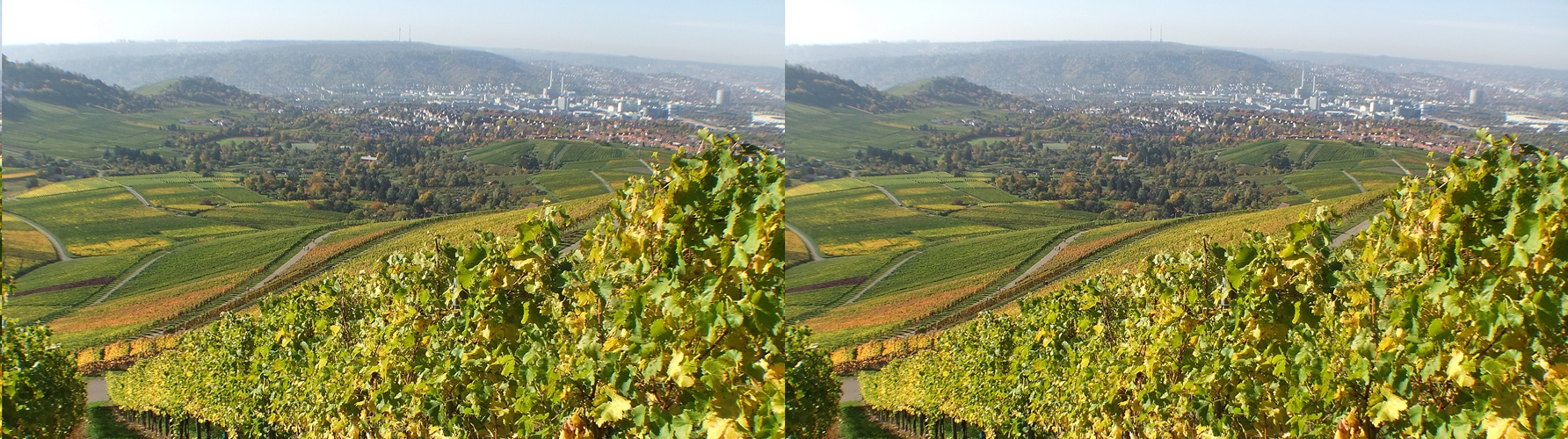 Weinberge mit Blick auf Stuttgart