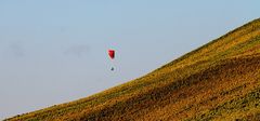 Weinberge mit Flieger