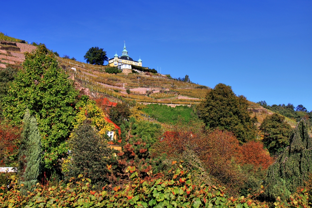 Weinberge mit Spitzhaus