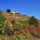 Weinberge mit Spitzhaus