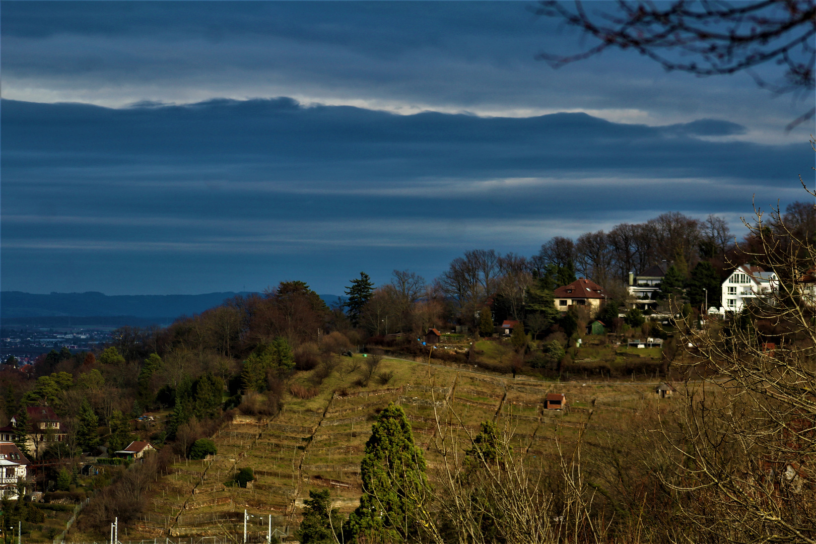 Weinberge oberhalb von Stuttgart