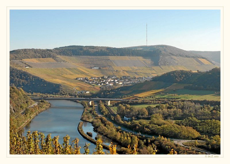 Weinberge Ockfener Bockstein # 10194_1