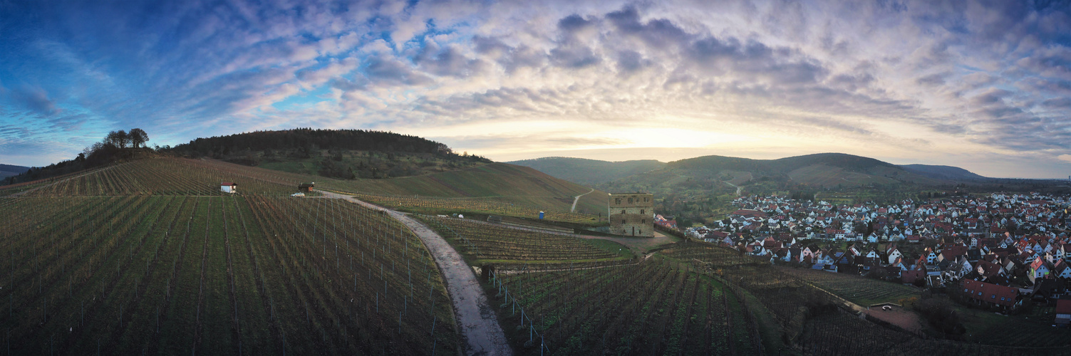 Weinberge panorama