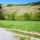 Weinberge Panorama