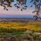 Weinberge Rheinhessen 34