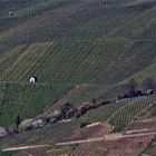 Weinberge rund um den Rotenberg