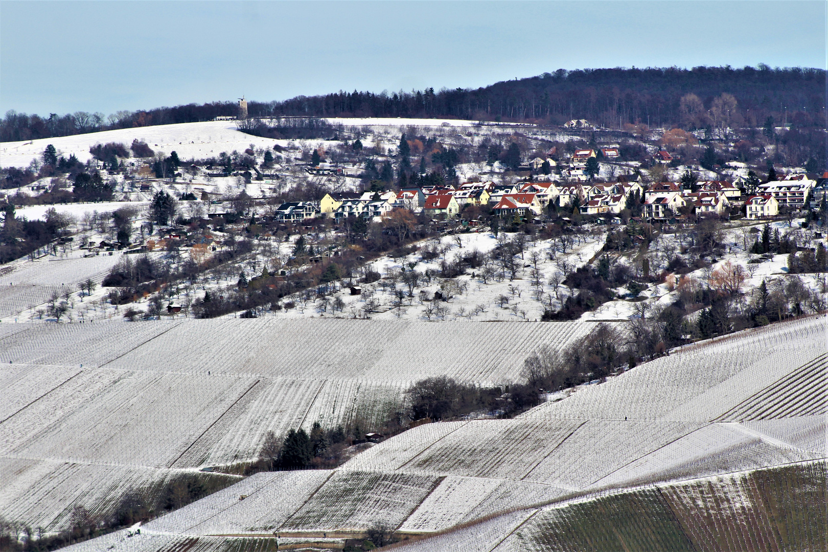 Weinberge rund um den Rotenberg,