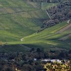 Weinberge rund um den Rotenberg im Herbst 2020