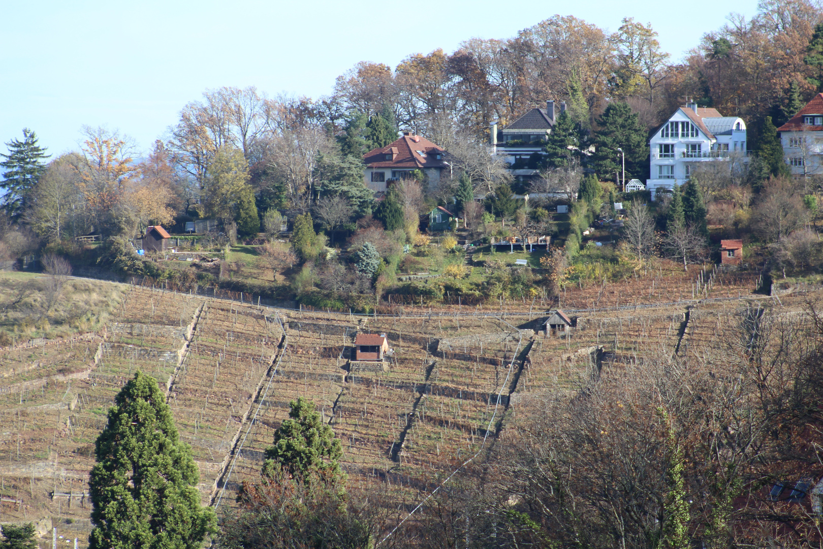 Weinberge rund um die neue Weinsteige dieses mal in Naturton