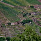 Weinberge rund um Stuttgart und Esslingen