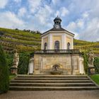 Weinberge Schloss Radebeul