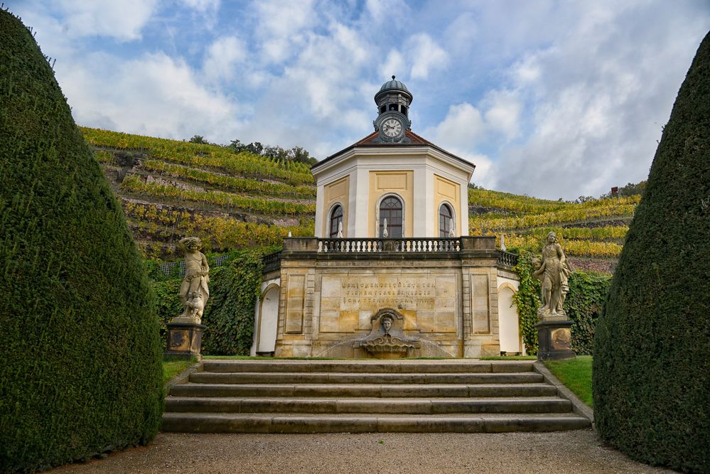 Weinberge Schloss Radebeul