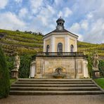 Weinberge Schloss Radebeul