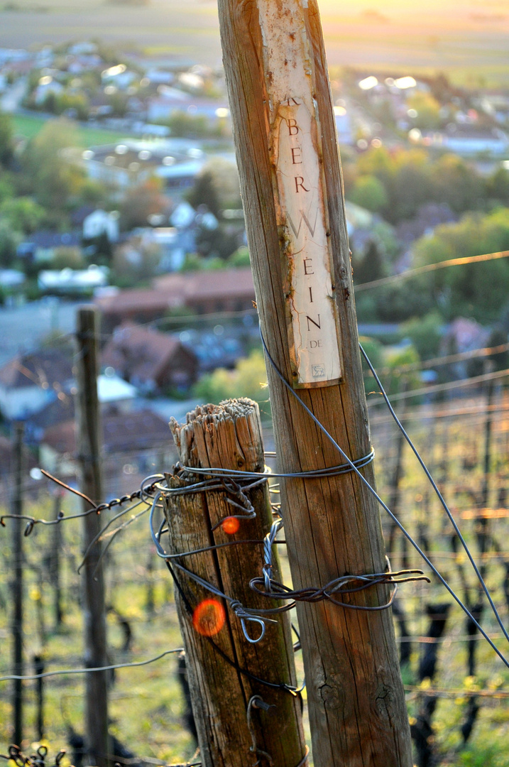 Weinberge Schwarzwald