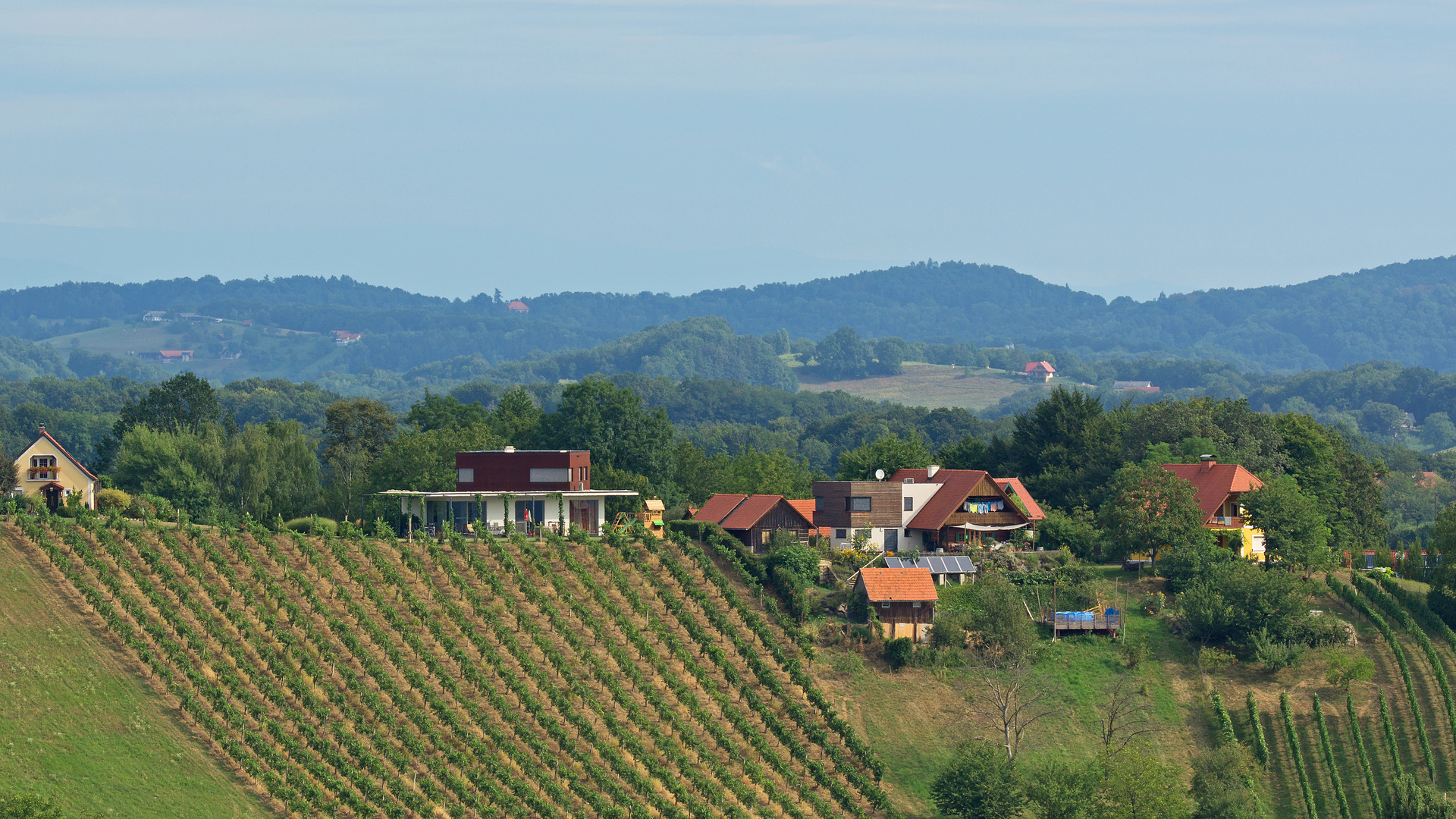 Weinberge Straden