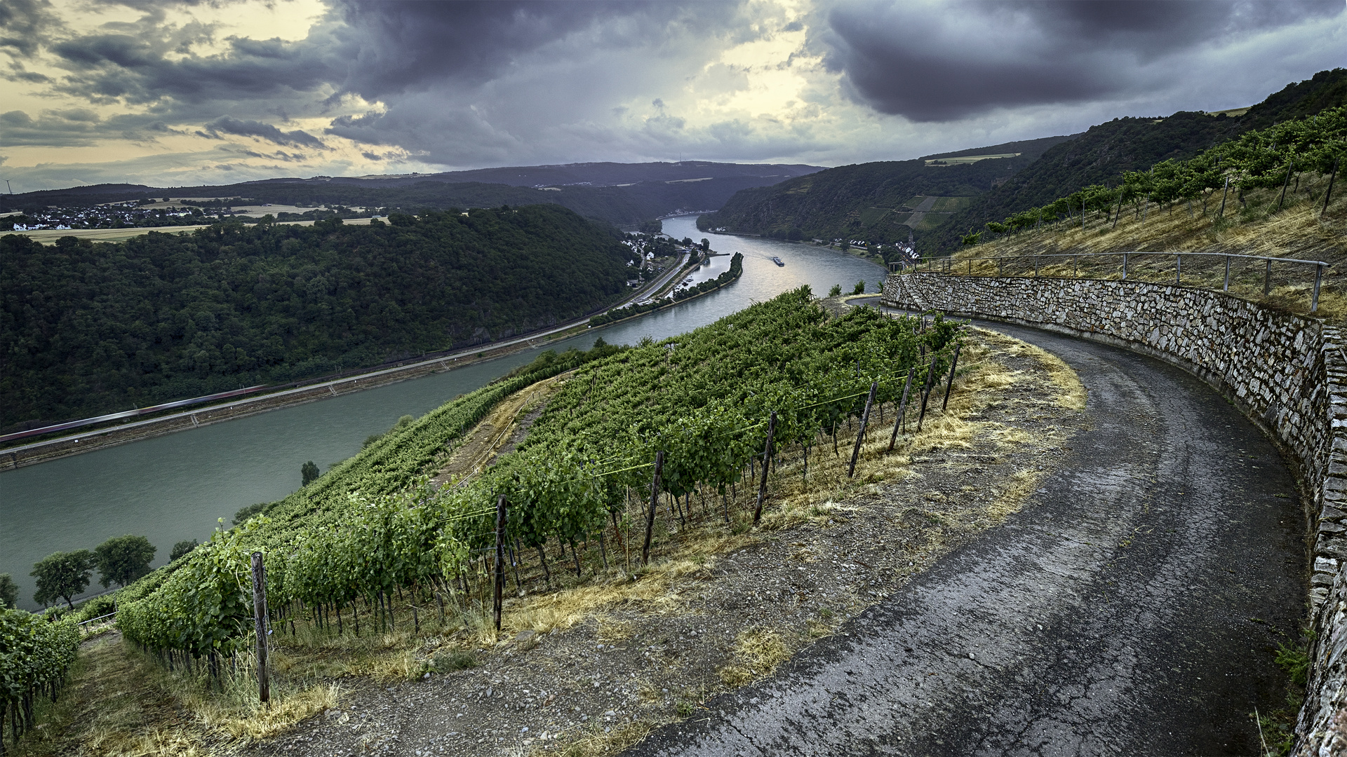 Weinberge über dem Rheintal bei Nochern.