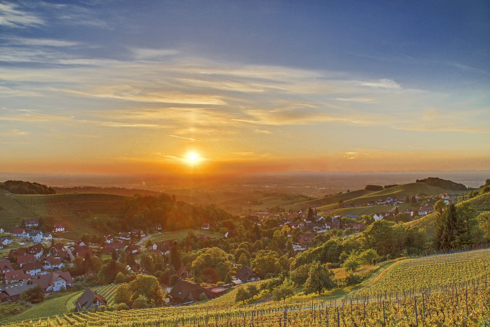 Weinberge um Sasbachwalden