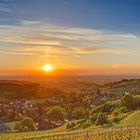 Weinberge um Sasbachwalden