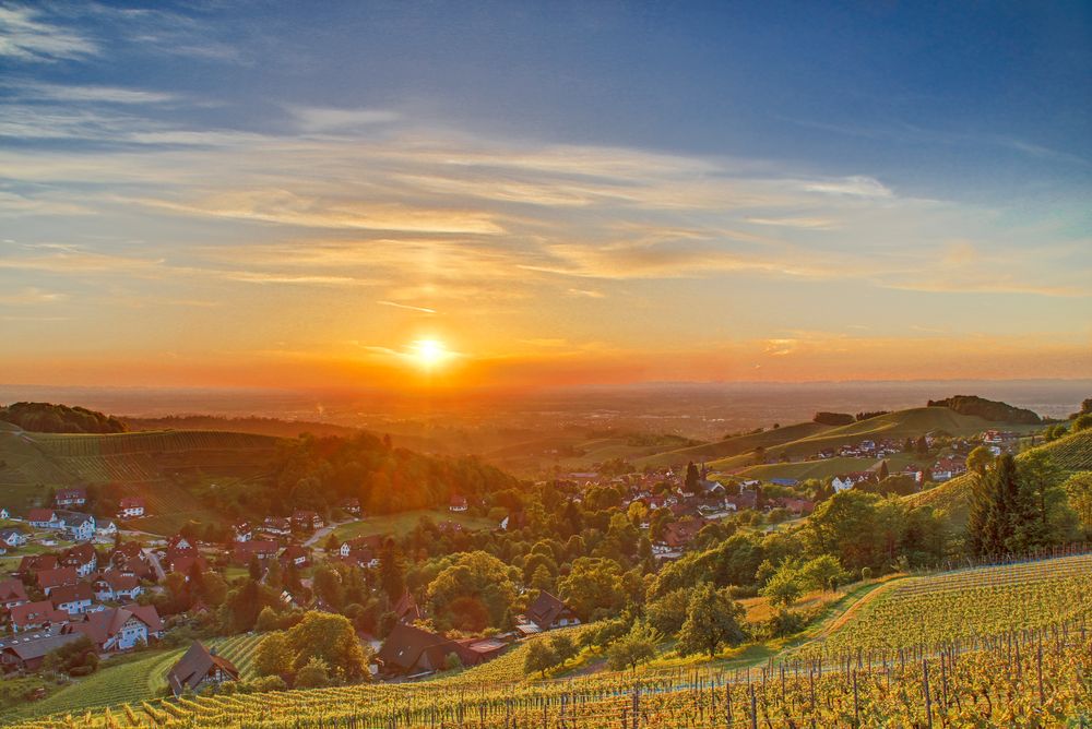 Weinberge um Sasbachwalden