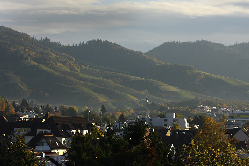 Weinberge und nochmals Weinberge