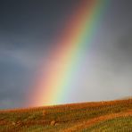  Weinberge unter dem Regenbogen , zur blauen Stunde