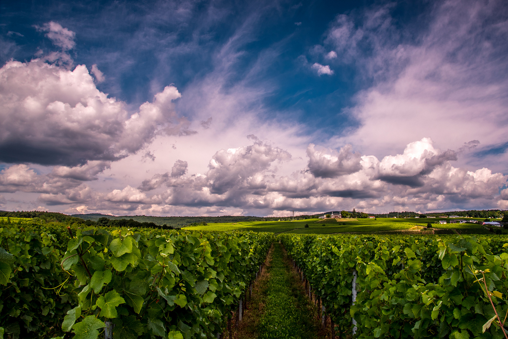 Weinberge unter Wolken