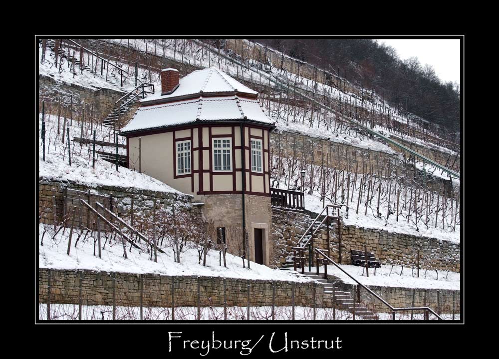 Weinberge von Freyburg